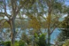 8 Halcyon Street, Mannering Park, NSW 2259-Image