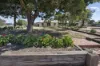 8 Hall Street, Piangil, Vic 3597-Image