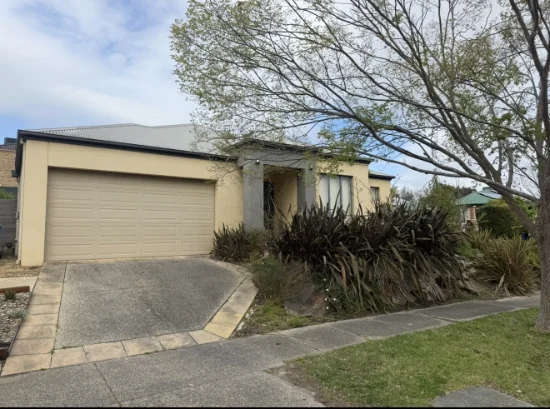8 Hamdon Green, Berwick, Vic 3806