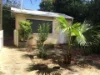 8 Hampton Street North, Goodwood, SA 5034-Image