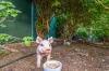 8 Hidaway Dr, Bindoon, WA 6502-Image