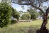 8 Hindmarsh Street, Clayton Bay, SA 5256-Image