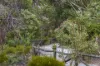 8 Hogg Avenue, Salter Point, WA 6152-Image