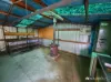 8 Horne Street, Rushworth, Vic 3612-Image