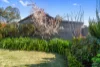 8 Houghton Street, Clare, SA 5453-Image