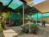 8 Hurley Grove, Hackham, SA 5163-Image
