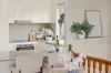 8 Ivy Street, Dicky Beach, Qld 4551-Image