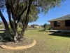 8 Jacaranda Avenue, Wingham, NSW 2429-Image