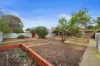 8  Jean Avenue, Paradise, SA 5075-Image
