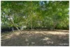 8 Jeffries Street, The Range, Qld 4700-Image