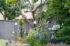 8 Jindalee Street, Berridale, NSW 2628-Image