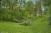 8 Jinibara Court, Ocean View, Qld 4521-Image