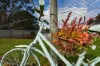 8 Julian Street West, Penola, SA 5277-Image
