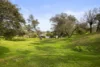 8 Kanimbla Court, Rye, Vic 3941-Image