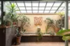 8 Kara Court, Yaroomba, Qld 4573-Image
