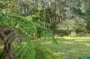8 Kelly Court, Kinglake West, Vic 3757-Image