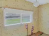 8 King Street, Bruthen, Vic 3885-Image