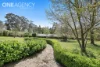 8 Kookaburra Court, Warragul, Vic 3820-Image