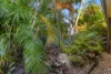 8 Kurrajong Crescent, Point Vernon, Qld 4655-Image