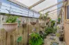 8 Ladbroke Crescent, Urangan, Qld 4655-Image
