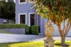 8 Landor Road, Barden Ridge, NSW 2234-Image