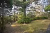 8 Laurel Street, Katoomba, NSW 2780-Image