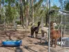 8 Lewis Court, Lockyer Waters, Qld 4311-Image