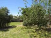 8 Little Street, Peterborough, SA 5422-Image