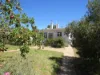 8 Little Street, Peterborough, SA 5422-Image