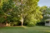 8 Littleridge Court, Doonan, Qld 4562-Image