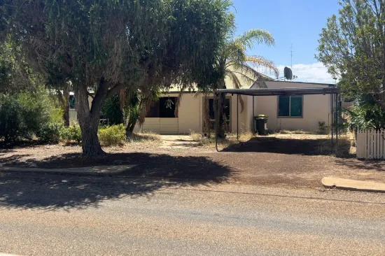 8 Longhurst Street, Narembeen, WA 6369