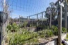 8 Lundie Street, Bungendore, NSW 2621-Image