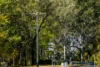 8 MacGregor Street, Woodend, Qld 4305-Image
