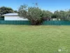 8 Mackie Street, Chinchilla, Qld 4413-Image