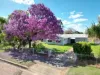 8 Mahoney St, Richmond Hill, Qld 4820
