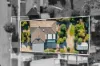 8 Manning Avenue, California Gully, Vic 3556-Image