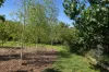 8 McKell Street, West Bathurst, NSW 2795-Image