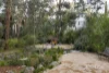 8 Meadow Crescent, Montmorency, Vic 3094-Image