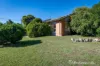8 Melrose Drive, Wodonga, Vic 3690
