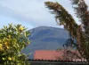 8 Mercer Street, New Town, Tas 7008-Image