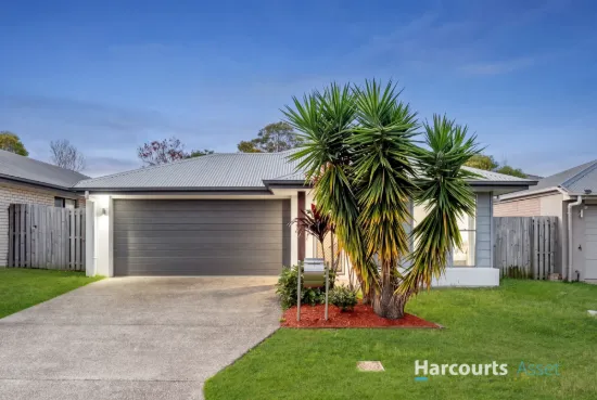 8 Mercy Circuit, Park Ridge, Qld 4125