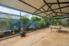 8 Mintberry Gardens, Byford, WA 6122-Image