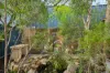 8 Mintberry Gardens, Byford, WA 6122-Image