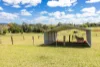 8 Moorhouse Road, Woombye, Qld 4559-Image