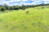 8 Moorhouse Road, Woombye, Qld 4559-Image