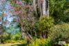 8 Moto Street, Lansdowne, NSW 2430-Image