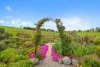8 Moyes Court, Neerim South, Vic 3831-Image