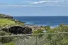 8 Murra Murra Place, Little Bay, NSW 2036-Image