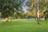 8 Nash Street, Daglish, WA 6008-Image