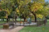 8 Nash Street, Daglish, WA 6008-Image
